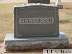 Henry G Ziegenbusch