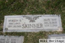 Mary May Fake Skinner