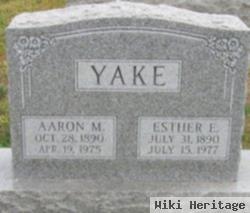 Aaron M Yake