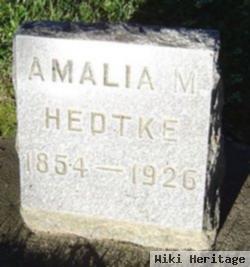 Amalia M Hedtke