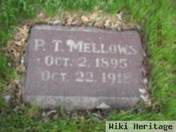 Peter Thomas Mellows