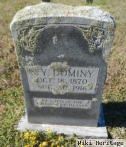 Seaborn Young Dominy