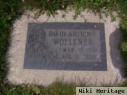 David Anthony Woellner