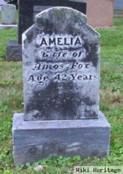 Amelia P Jackson Fox