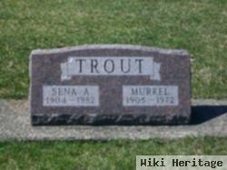 Sena A Drudge Trout