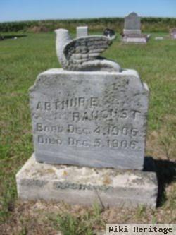 Arthur E. Raugust