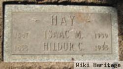 Isaac M Hay