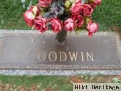 Dr Winslow Copely Goodwin, Jr