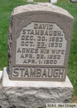 David L Stambaugh