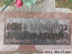 Bert B Brinkmeyer