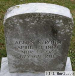 Agnes "aggie" Goshert Strohm