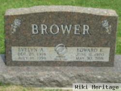 Edward Erwin Brower