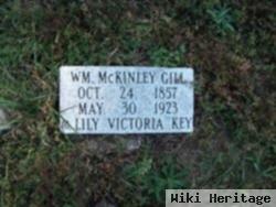 William Mckinley Gill