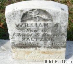 William A Saltzer