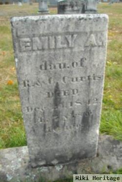 Emily A Curtis