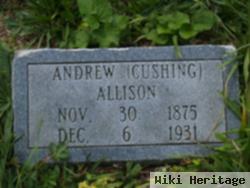 Andrew Cushing Allison