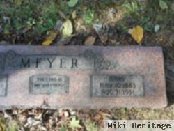 Mary Meyer