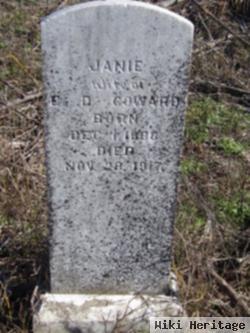 Janie Rowe Coward