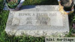 Hedwig A Plesel Filo