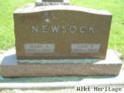 Dan S. Newsock