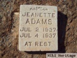 Jeanette Adams