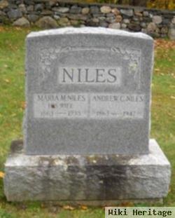 Andrew C Niles