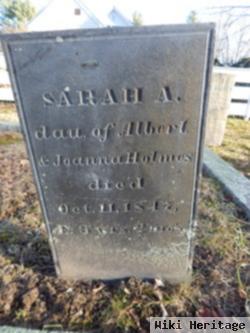 Sarah A Holmes