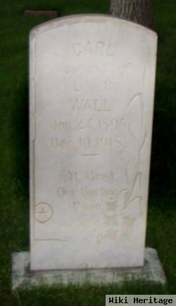 Carl W Wall