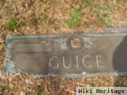 Virginia Anne Mccutchen Guice