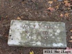 Mary E. Jenkins