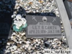 Lily B. Canepa