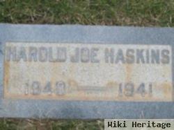 Harold Joe Haskins