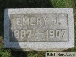 Emery J Goodman