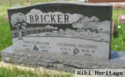 Sara Catherine Oglesbee Bricker