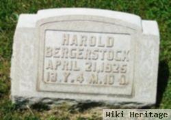 Harold Van Dyke Bergerstock