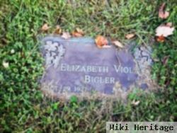 Elizabeth Bigler