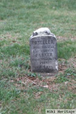 Roseella Farver