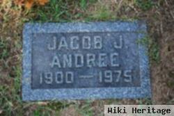 Jacob J Andree
