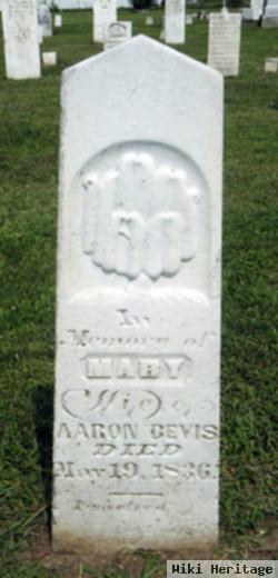 Mary Chase Bevis