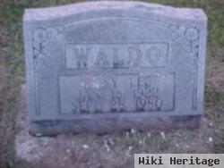 Mary Lee Waldo