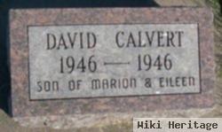 David Calvert