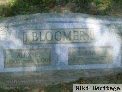 Alex L. Bloomer