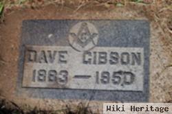 David W. Gibson