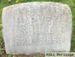 Harvey Shull