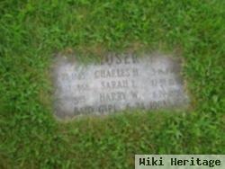 Sarah Ida Behney Moser