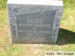 Alice Dovey