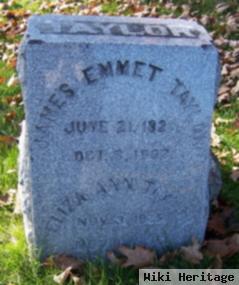 James Emmet Taylor