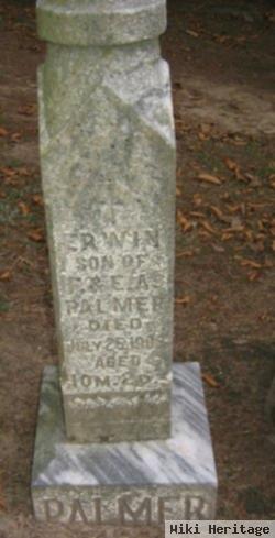 Erwin Palmer