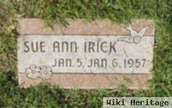 Sue Ann Irick