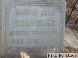 Sarkis Jose Dominguez